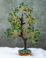 Green Jade Tree - Image 4